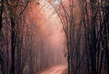 赛场上演连环进球，东南亚喜迎晋级