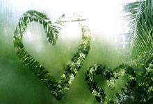 赛场上演连环进球，东南亚喜迎晋级