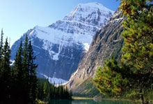 球队凭借默契配合，一路领先